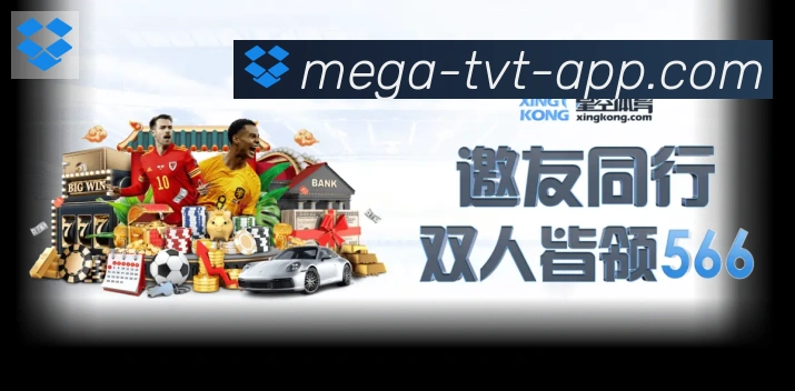 TVT体育服务体系